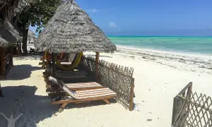 Soliga solstolar och hängmattor under halmtak vid en turkos strand. Drömmer du om en resa till Zanzibar? Pris kan variera, men detta ser ut som paradiset.