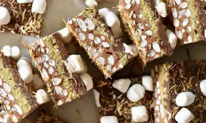 Chokladiga bitar med marshmallows och kokosflingor, som små cake pops i en ny tappning.