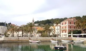 Hamnen i Hvar, Kroatien, med palmer, färgglada hus och små båtar i det turkosa vattnet.