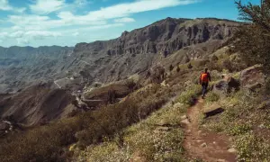 En person vandrar på en stig på Gran Canaria, omgiven av vildblommor och dramatiska berg.