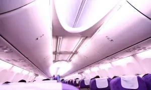 Rad av lila ving flygplan sittplatser med vita nackstöd, belysta av taklampor.