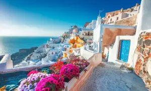 Vacker vy över vita hus och blå hav i Santorini, en drömresa. Blommor i förgrunden.