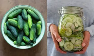 En skål med färska gurkor bredvid en burk med inlagd gurka, dill och senapsfrön.