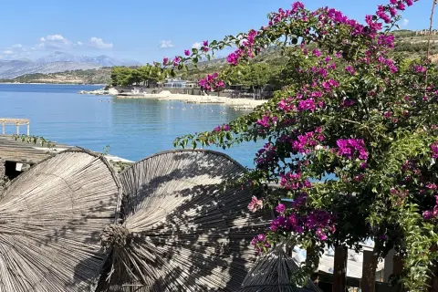 Solig stranddag med lila bougainvillea och stråparasoller. En perfekt vy för en **turista i Albanien**.