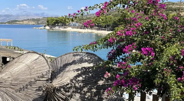 Solig stranddag med lila bougainvillea och stråparasoller. En perfekt vy för en **turista i Albanien**.