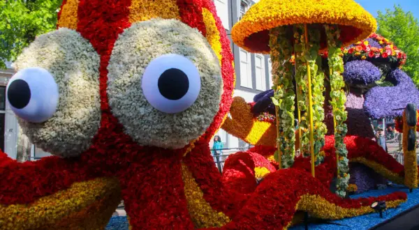 Enorm blommaffär med en gigantisk bläckfisk och en manet, som påminner om Amsterdam tulpaner. En färgsprakande parad.