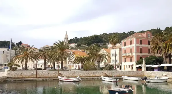 Hamnen i Hvar, Kroatien, med palmer, färgglada hus och små båtar i det turkosa vattnet.