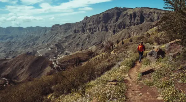 En person vandrar på en stig på Gran Canaria, omgiven av vildblommor och dramatiska berg.