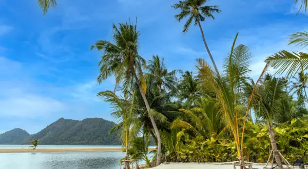 En tropisk strand på Ko Chang med palmer, sand och turkost vatten. En hängmatta väntar på avkoppling.