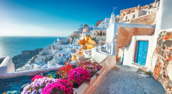Vacker vy över vita hus och blå hav i Santorini, en drömresa. Blommor i förgrunden.