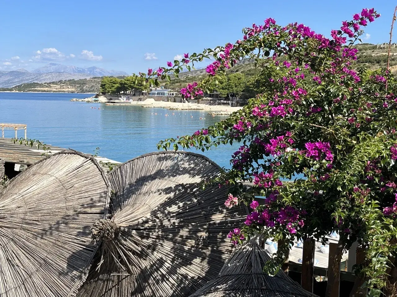 Solig stranddag med lila bougainvillea och stråparasoller. En perfekt vy för en **turista i Albanien**.