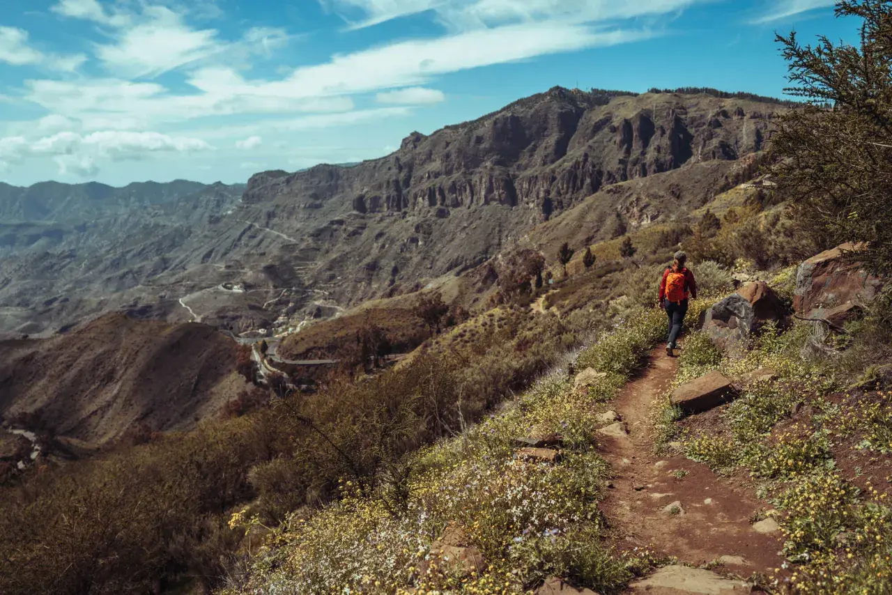 En person vandrar på en stig på Gran Canaria, omgiven av vildblommor och dramatiska berg.