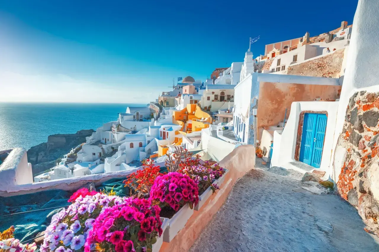 Vacker vy över vita hus och blå hav i Santorini, en drömresa. Blommor i förgrunden.
