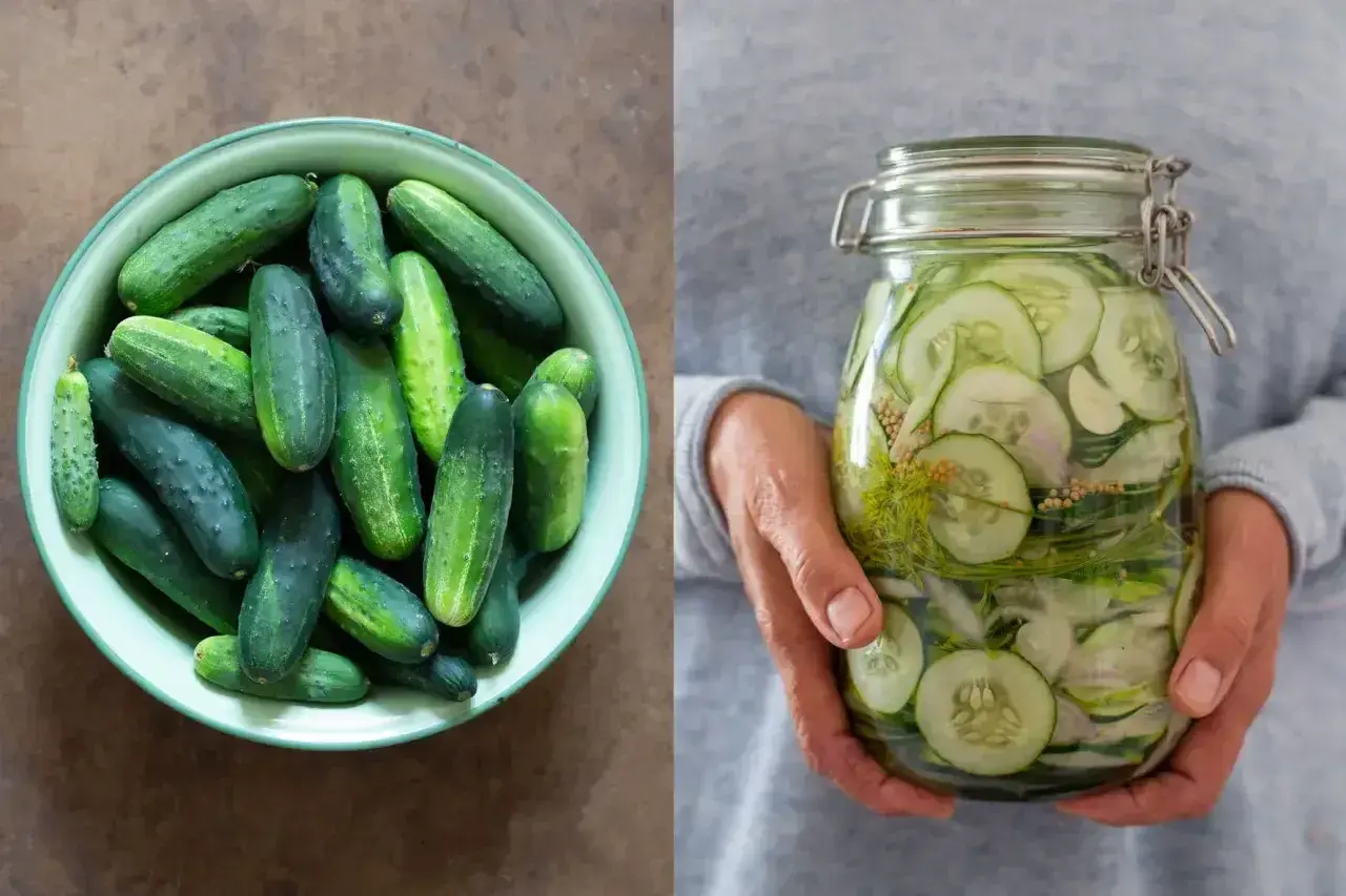 En skål med färska gurkor bredvid en burk med inlagd gurka, dill och senapsfrön.