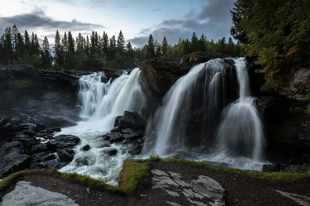 Vackra vattenfall forsar nerf&ouml;r m&ouml;rka klippor, omgivna av en t&auml;t granskog under en dramatisk himmel.