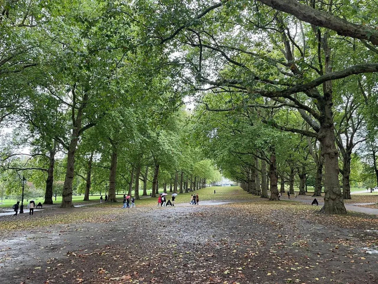 En gr&ouml;n park i London med l&ouml;vtr&auml;d som kantar en stig. M&auml;nniskor med paraplyer promenerar i det fuktiga v&auml;dret.
