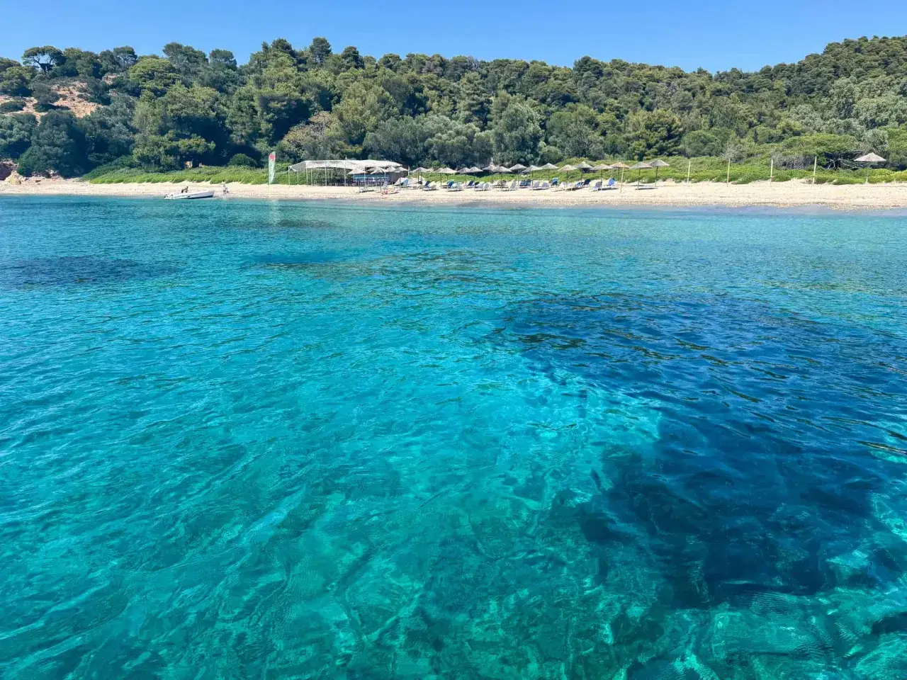 Kristallklart turkost vatten m&ouml;ter en gr&ouml;nskande strand med parasoller och en liten b&aring;t vid Skiathos, Grekland.
