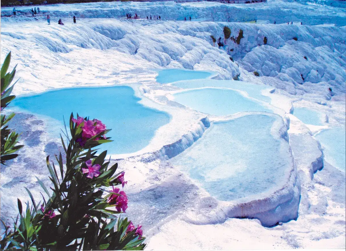Turkosa pooler vid Pamukkale i Turkiet, med vita kalkstensformationer och rosa blommor i f&ouml;rgrunden.