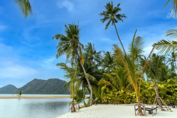 En tropisk strand på Ko Chang med palmer, sand och turkost vatten. En hängmatta väntar på avkoppling.